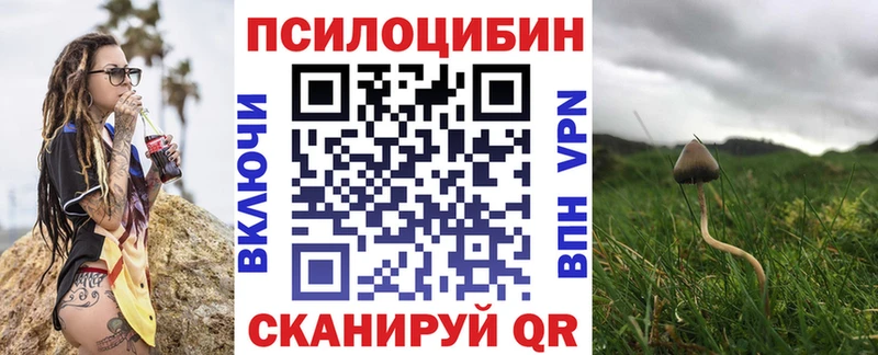 Псилоцибиновые грибы Cubensis  Ковылкино 